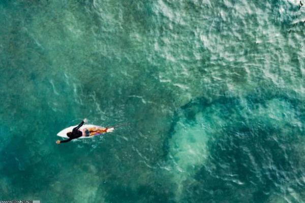 高杆绣球：了解这项中考体育项目的要求(图1)